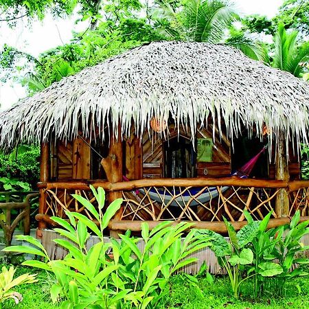 Hotel La Costa De Papito Puerto Viejo de Talamanca ภายนอก รูปภาพ