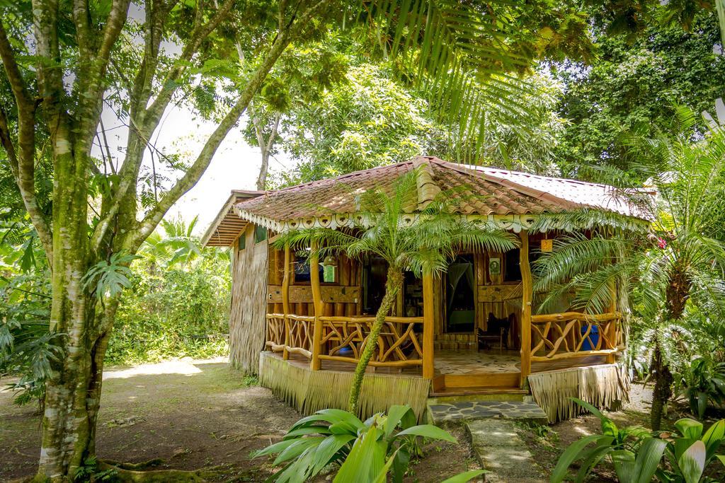 Hotel La Costa De Papito Puerto Viejo de Talamanca ห้อง รูปภาพ