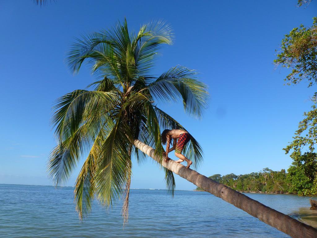 Hotel La Costa De Papito Puerto Viejo de Talamanca ภายนอก รูปภาพ