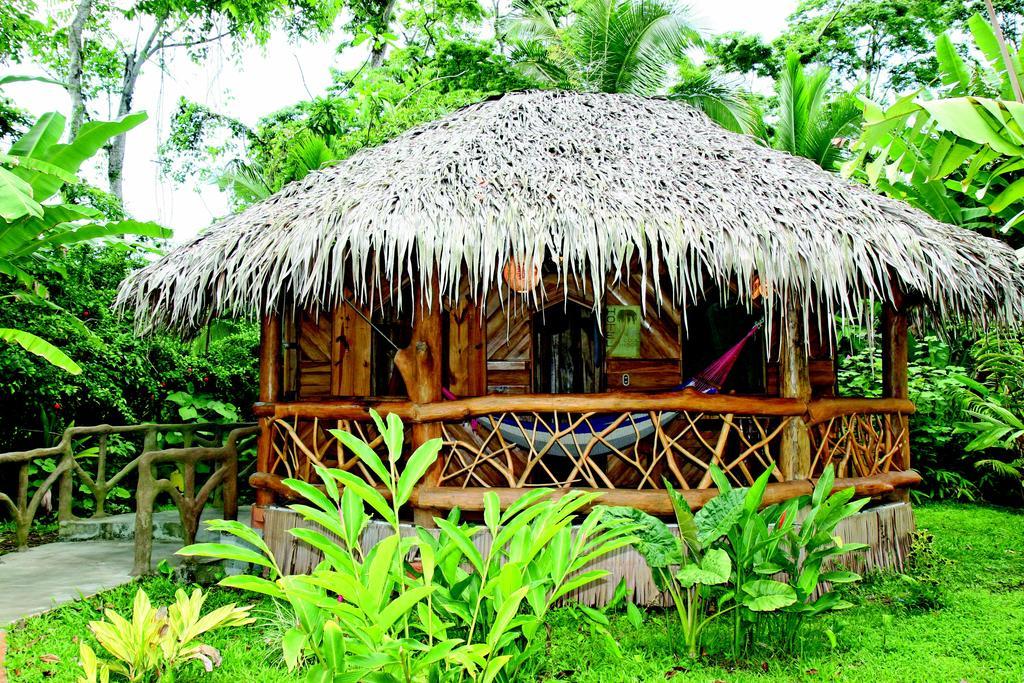 Hotel La Costa De Papito Puerto Viejo de Talamanca ภายนอก รูปภาพ