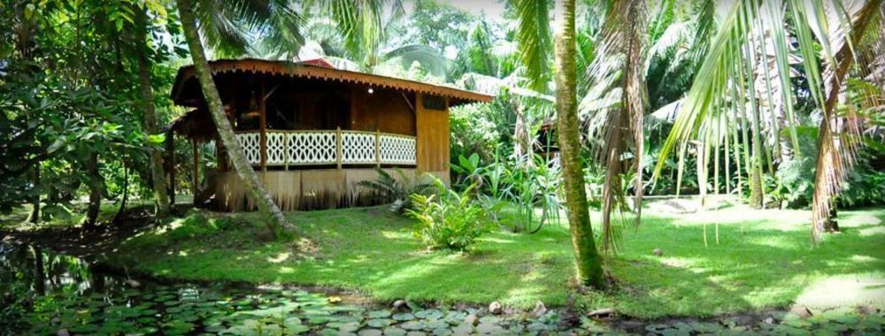 Hotel La Costa De Papito Puerto Viejo de Talamanca ภายนอก รูปภาพ