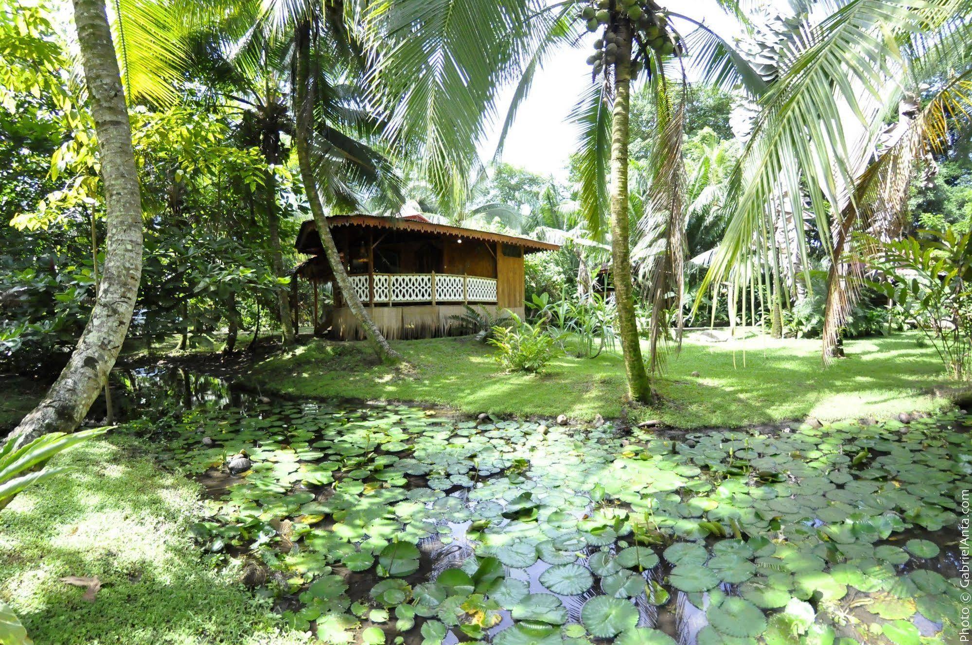 Hotel La Costa De Papito Puerto Viejo de Talamanca ภายนอก รูปภาพ